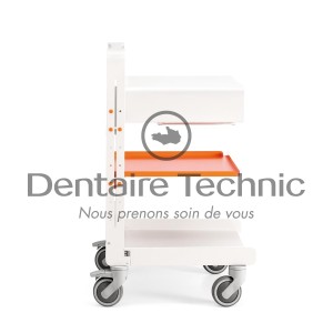 Friday Orange Cart Tubs - Dental Art