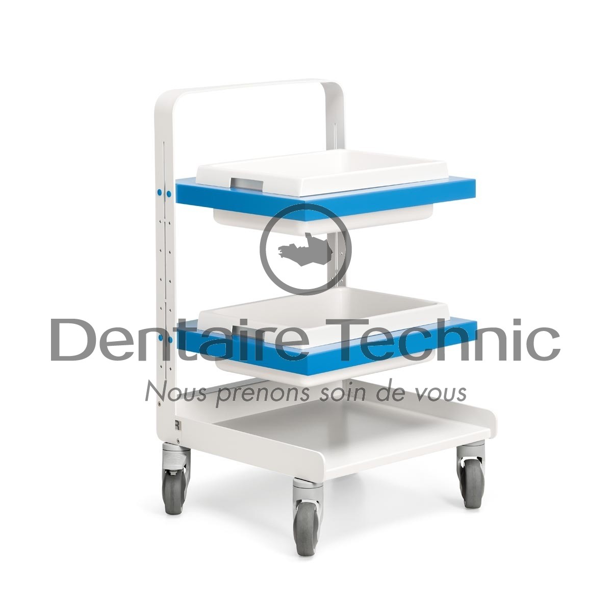 Friday Blue Cart Distribution - Dental Art